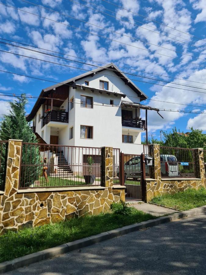 Vila San Nicoara Curtea de Argeş Dış mekan fotoğraf
